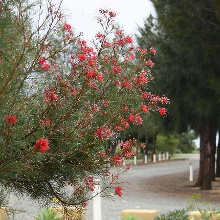 The Heights Bed&Breakfast Jurien Bay Exterior foto