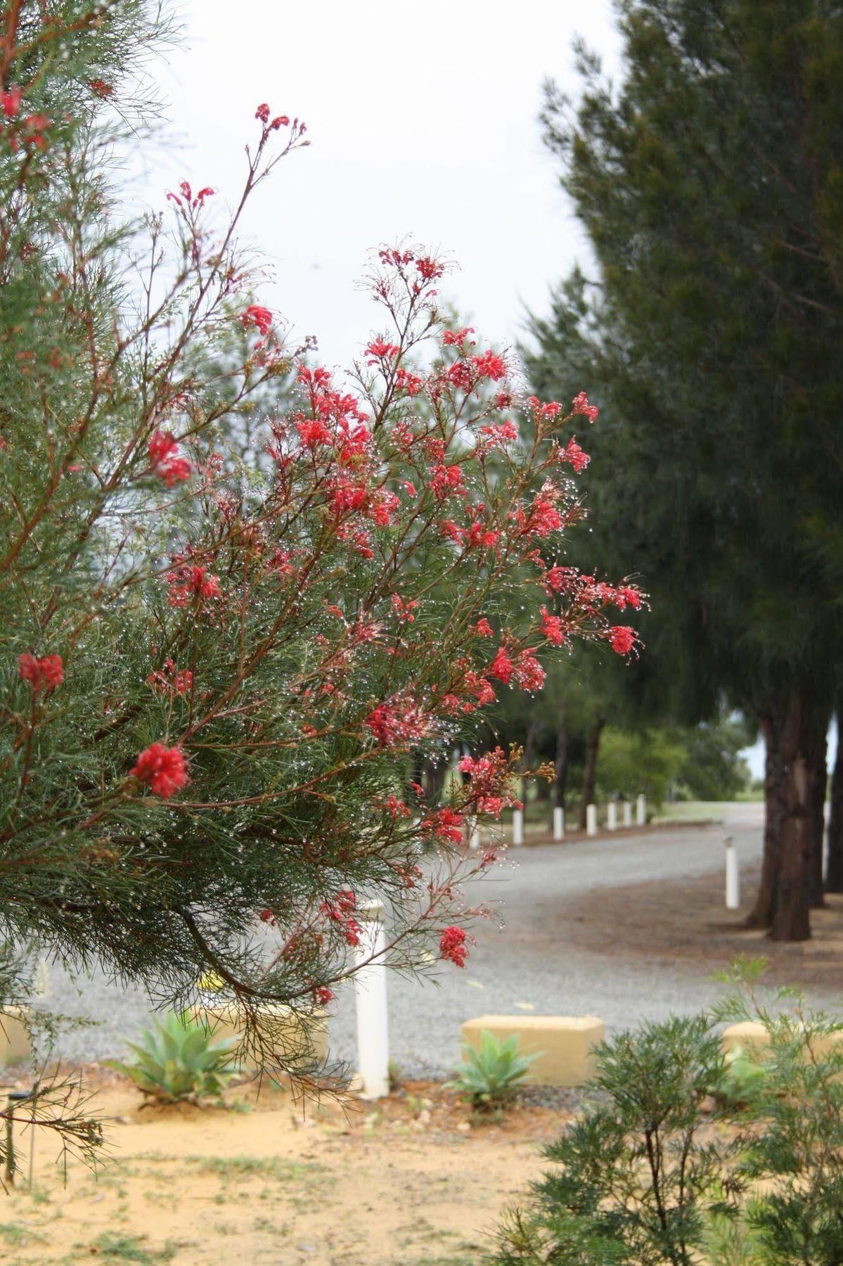 The Heights Bed&Breakfast Jurien Bay Exterior foto